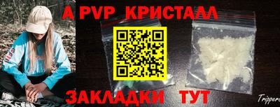 спайс Гусев