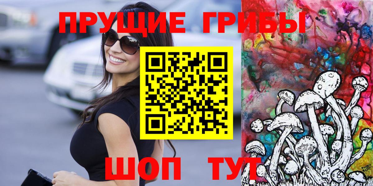 Псилоцибиновые грибы Psilocybe Кимры